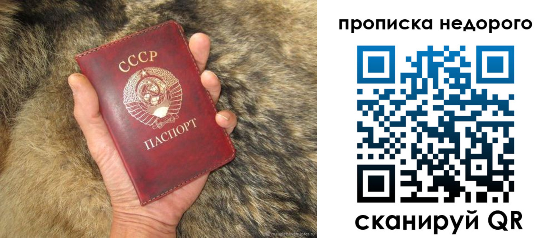 прописка для школы в Ряжске